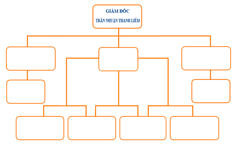 Sơ đồ tổ chức